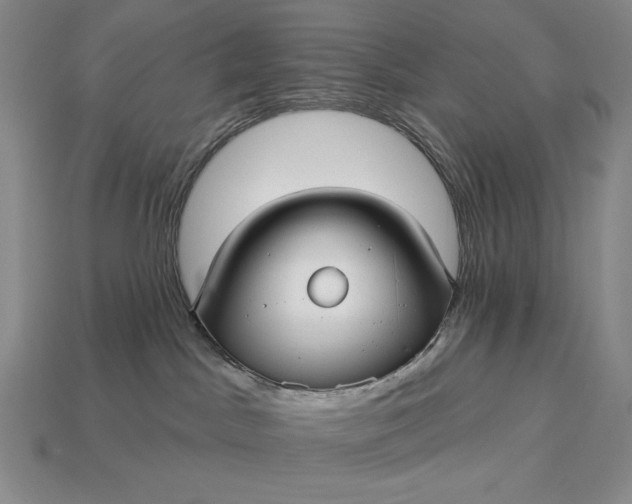 X0000113160045200909181820