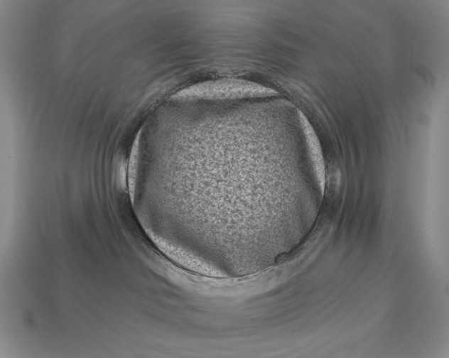 X0000113160046200909181820