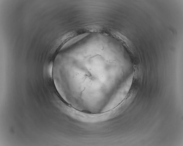 X0000113160047200909181820