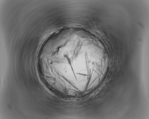 X0000113160049200909181819