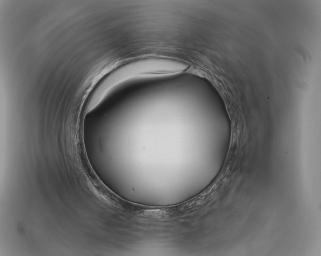 X0000113160050200909181819