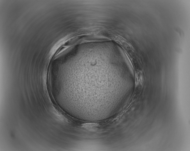 X0000113160051200909181819