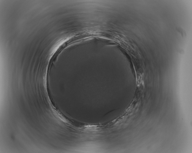 X0000113160052200909181819