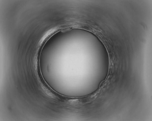 X0000113160054200909181819