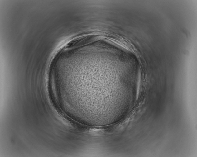 X0000113160055200909181819