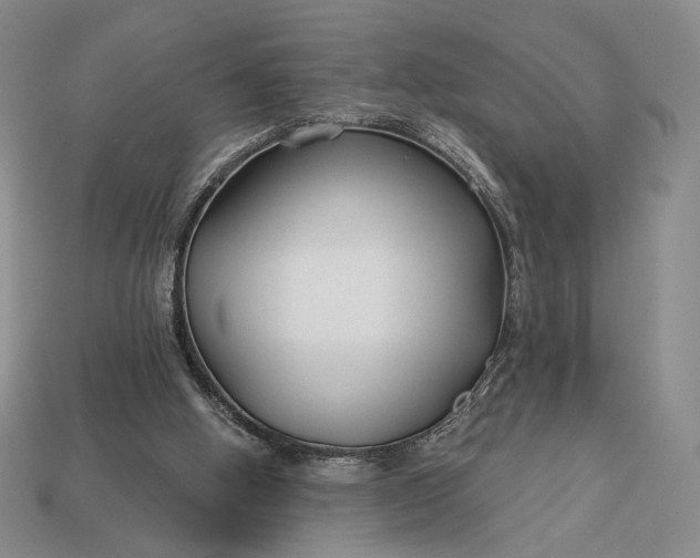 X0000113160058200909181819