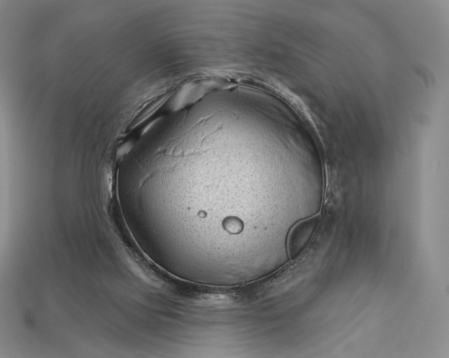 X0000113160061200909181819