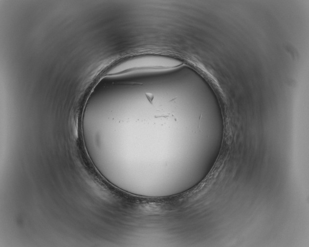 X0000113160062200909181819