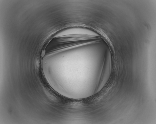 X0000113160063200909181819