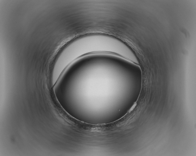 X0000113160064200909181819