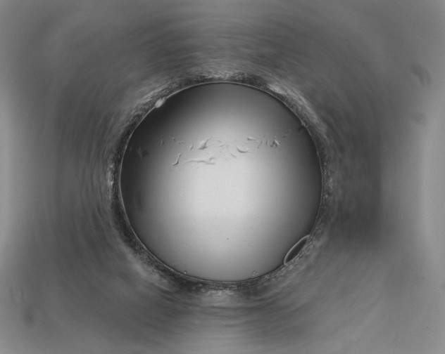 X0000113160066200909181819