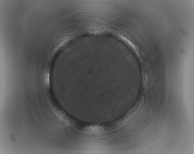 X0000113160067200909181819