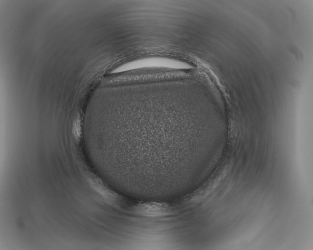 X0000113160069200909181820