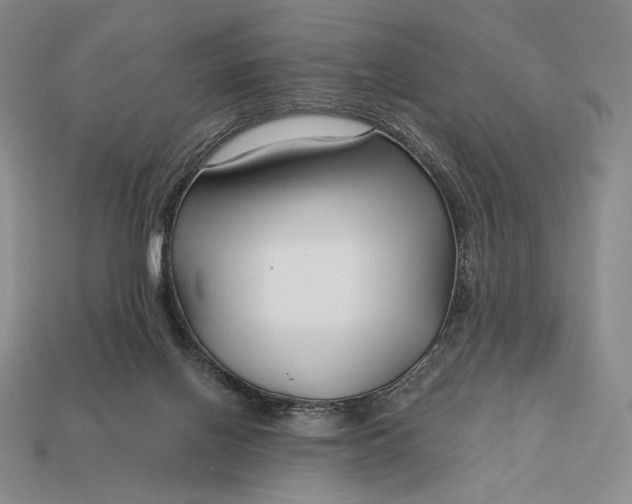 X0000113160070200909181820