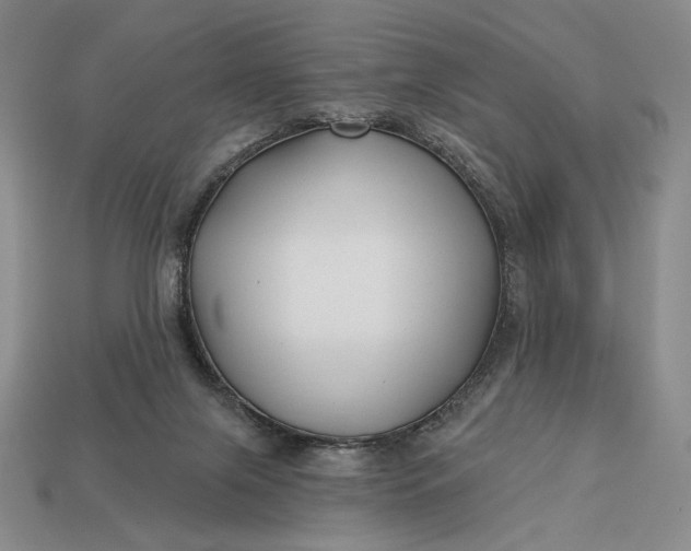 X0000113160071200909181820