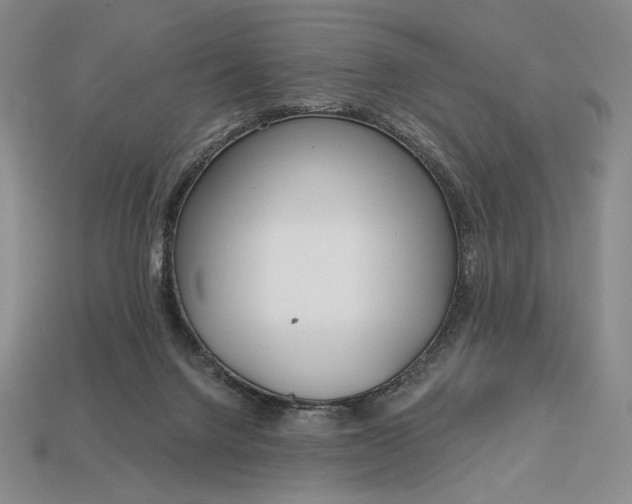 X0000113160072200909181820