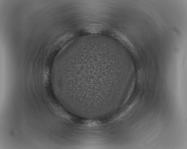 X0000113160073200909181820