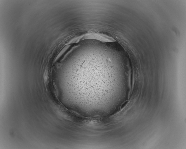 X0000113160074200909181820