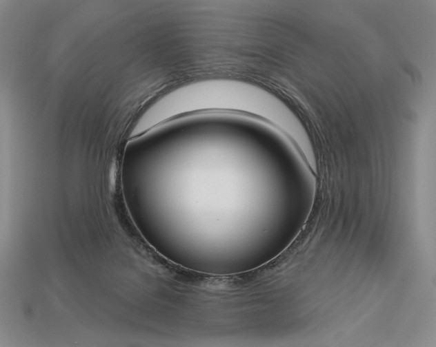 X0000113160076200909181820