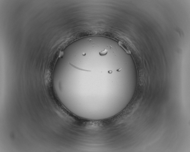 X0000113160077200909181820