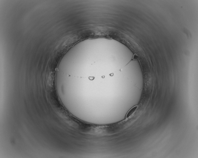 X0000113160078200909181820