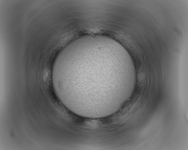 X0000113160079200909181820