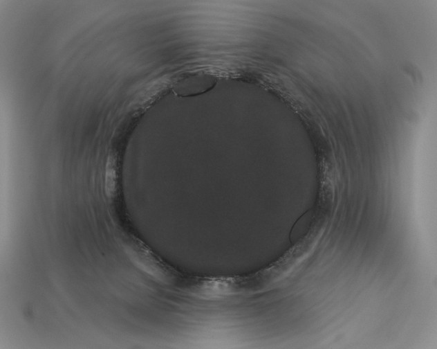 X0000113160080200909181820