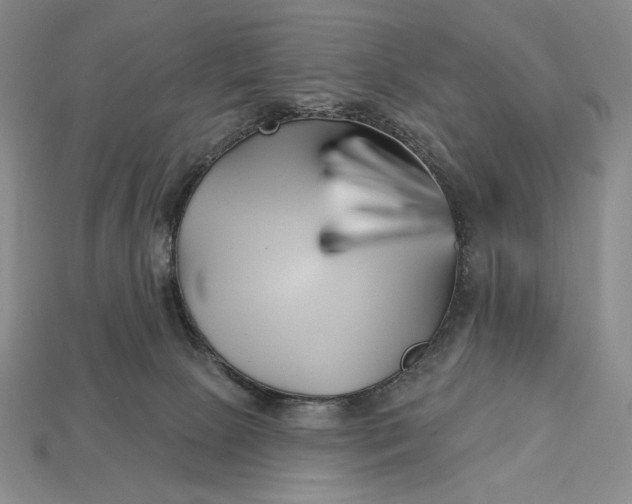 X0000113160081200909181820