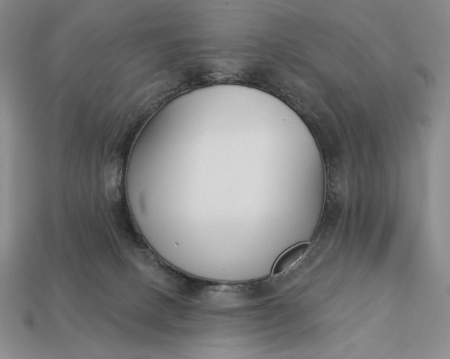 X0000113160082200909181820