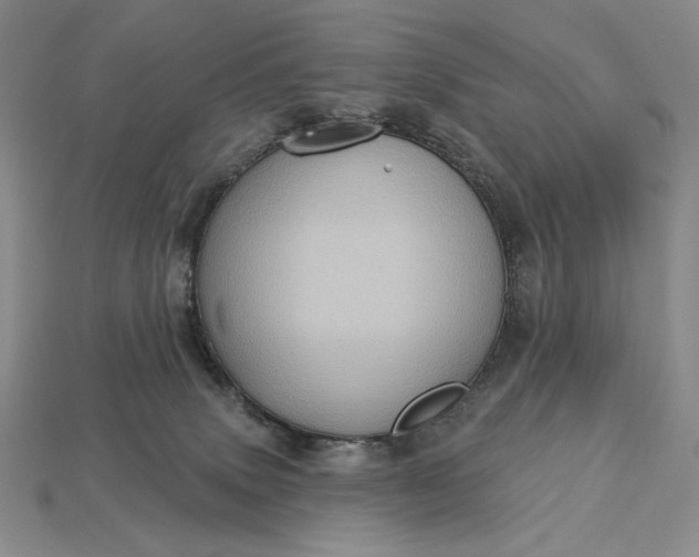 X0000113160083200909181820