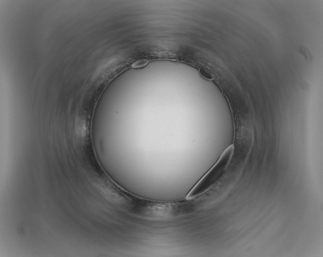 X0000113160084200909181820