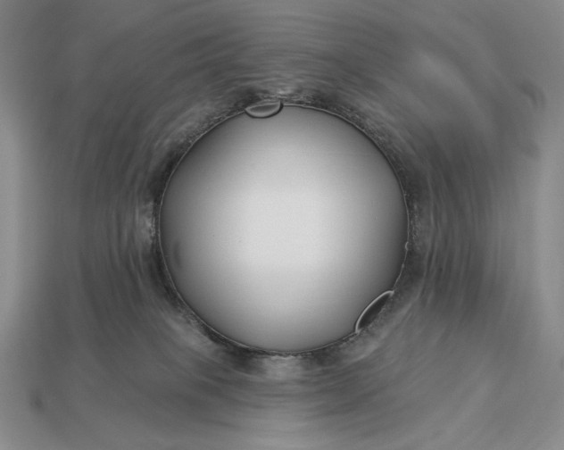 X0000113160085200909181820