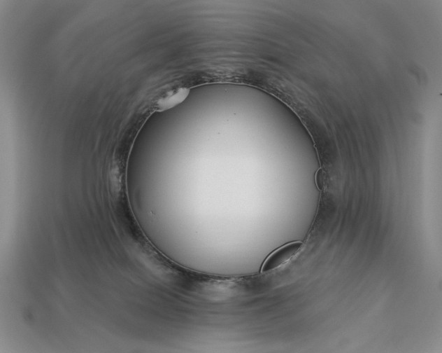 X0000113160086200909181820