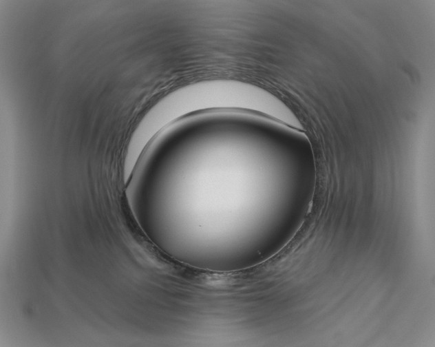 X0000113160088200909181820