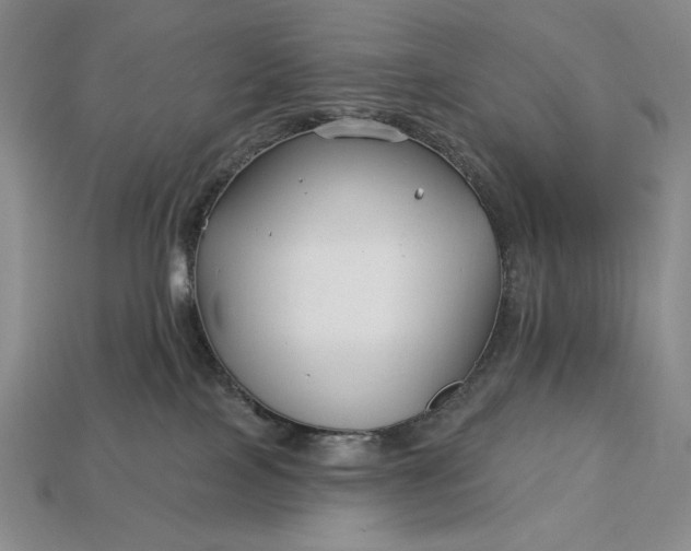 X0000113160089200909181820