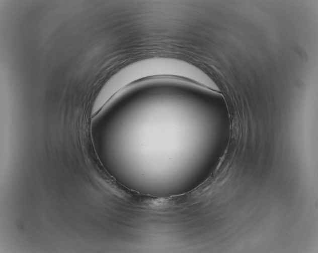 X0000113160092200909181820