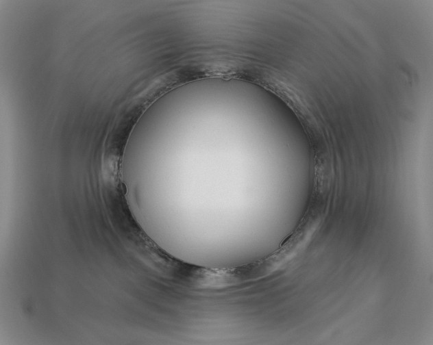 X0000113160093200909181820