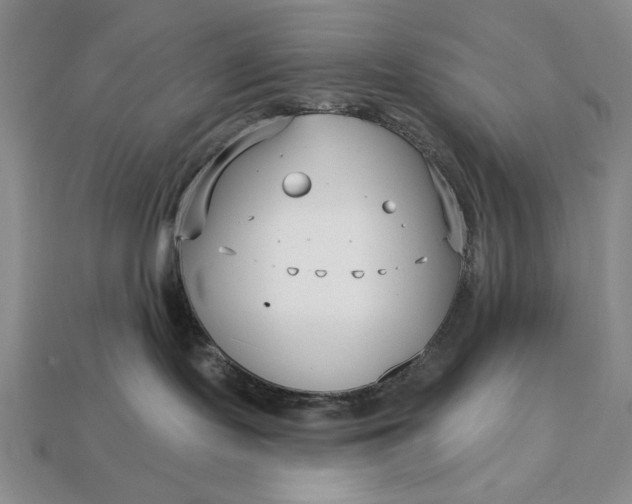 X0000113160095200909181820