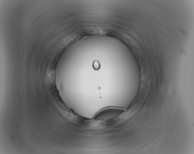 X0000113160096200909181820