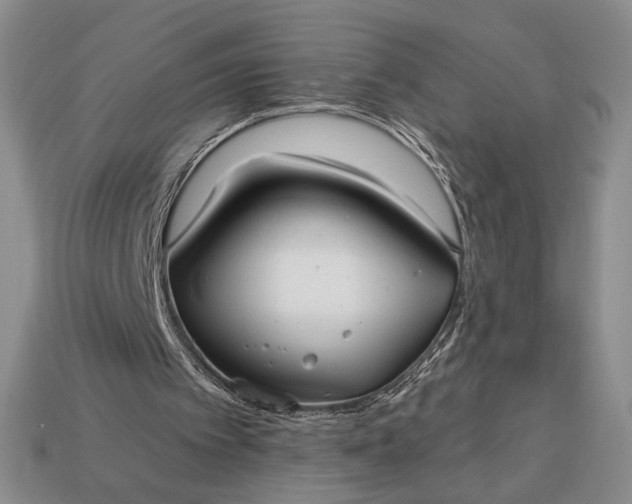 X0000113160097200909181819