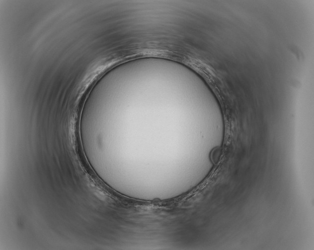 X0000113160098200909181819