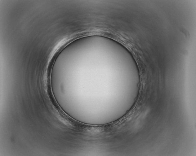 X0000113160102200909181819