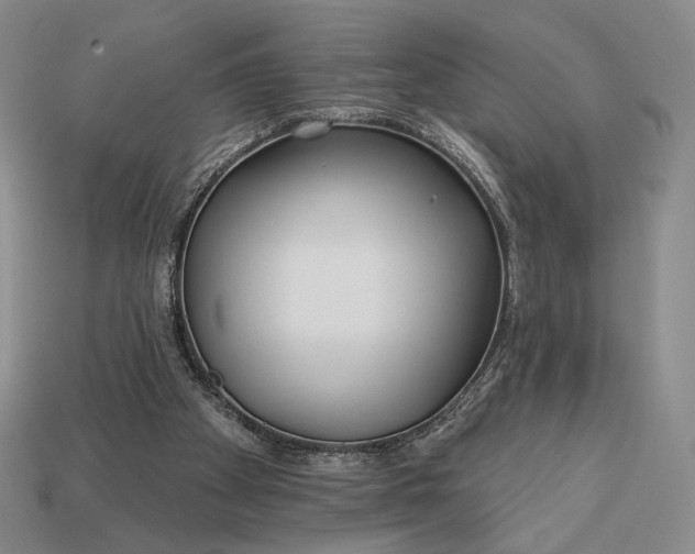 X0000113160105200909181819