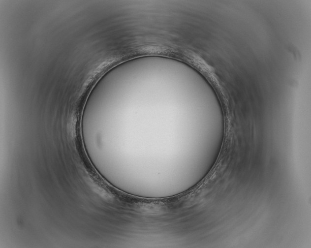 X0000113160106200909181819