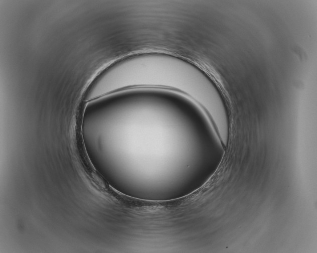 X0000113160108200909181819