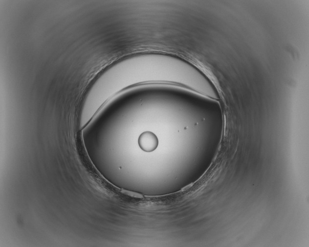 X0000113160109200909181819