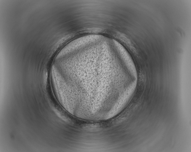 X0000113160110200909181819