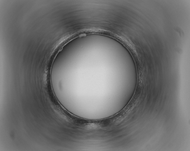 X0000113160111200909181819