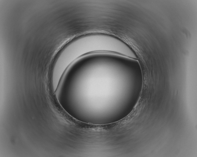 X0000113160112200909181819