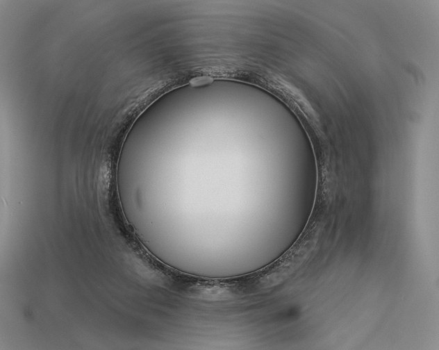 X0000113160113200909181819